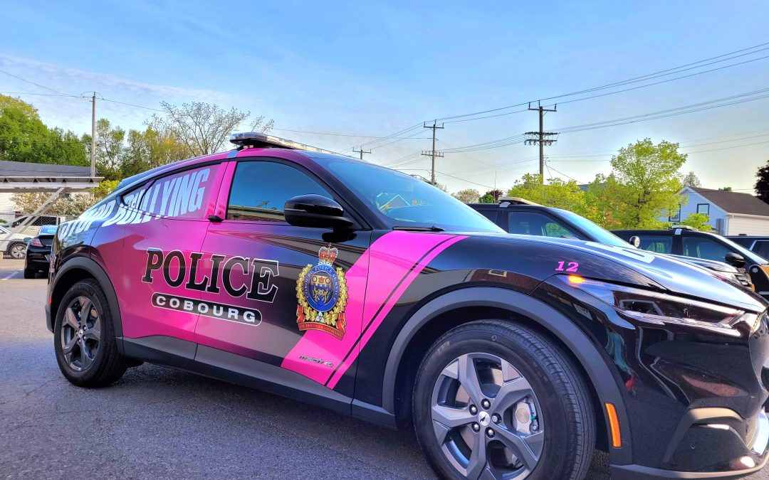 Pink police cruiser