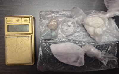 Drug Trafficking Arrest