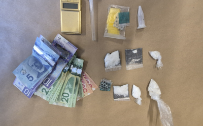 Drug Trafficking Arrest